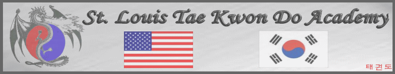 USA Flag